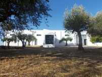 Armazém de 225 m2 em 3.800 m2 de Terreno.