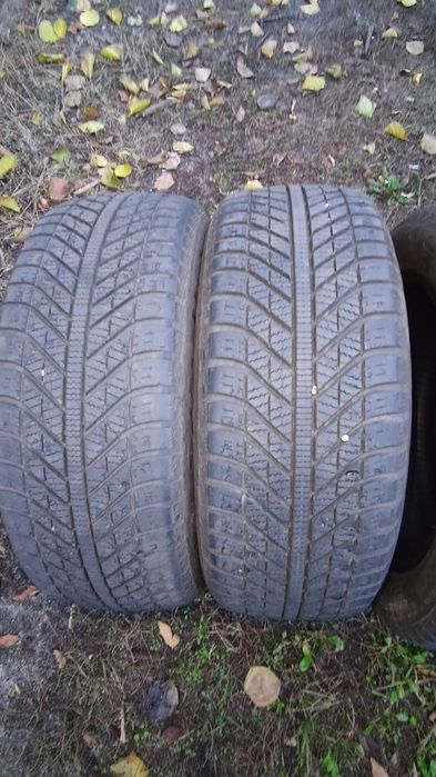 205/55R16 Goodyear зима