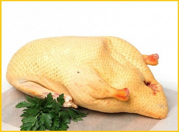 Мясо тушка индоутки