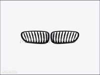Grelhas Capo BMW Z4 E85 / E86  AAP14390