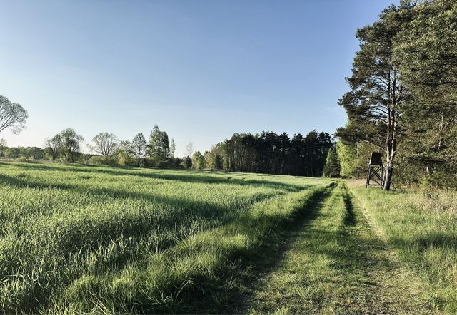 Działka budowlana malowniczo położona. Okazja