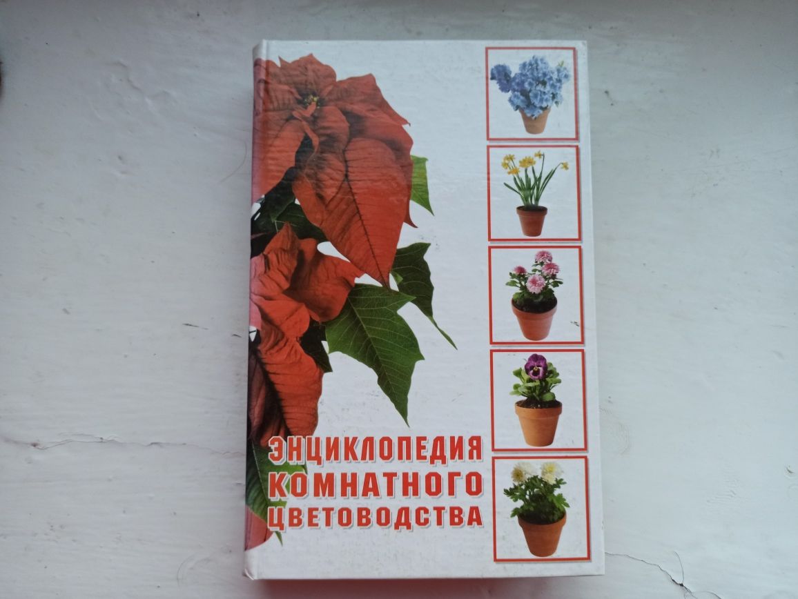 Книга энциклопедия комнатного цветоводства квіти цветы