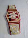 Pas Mistrzowski Universal Champion