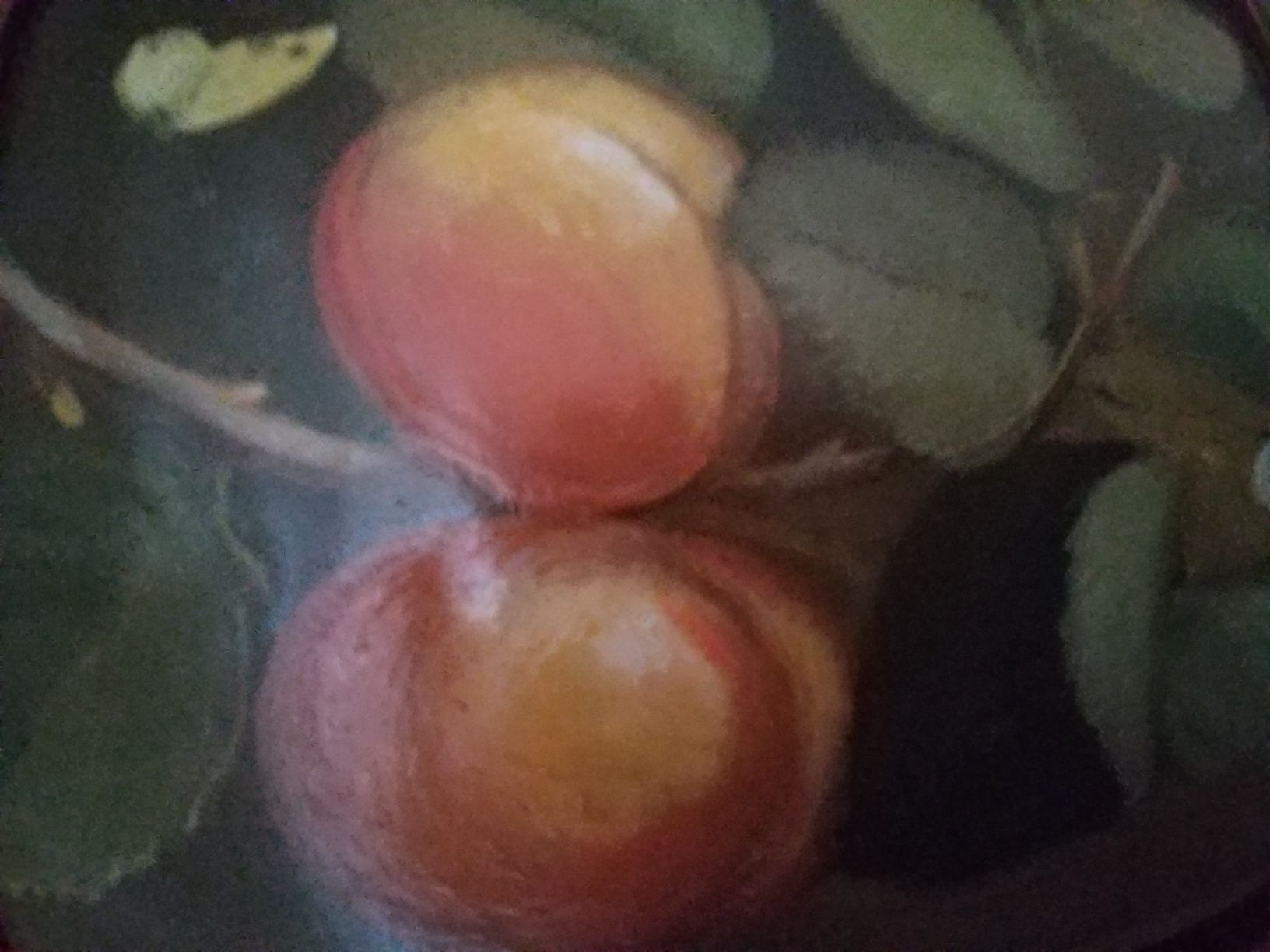Owoce- obraz olejny