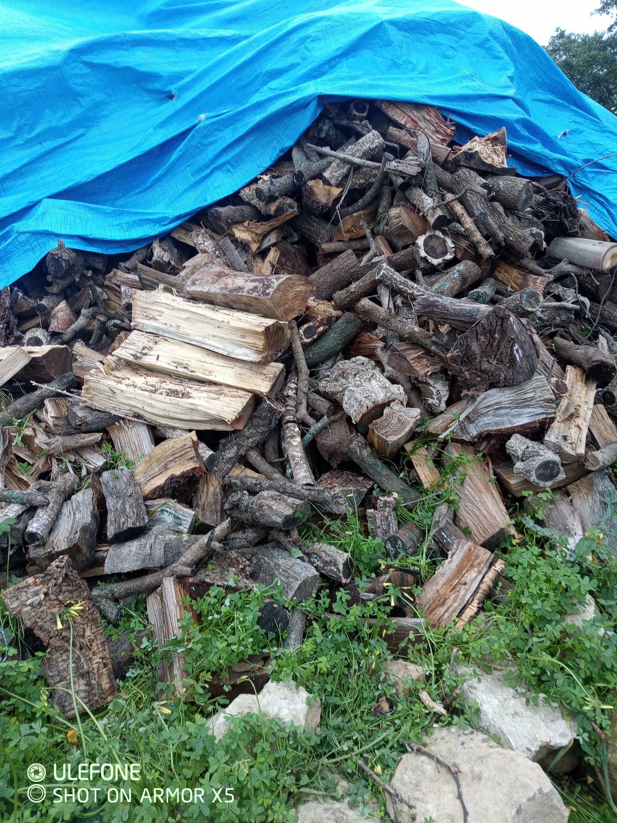 vende-se Lenha em paletes 1m³ 60€