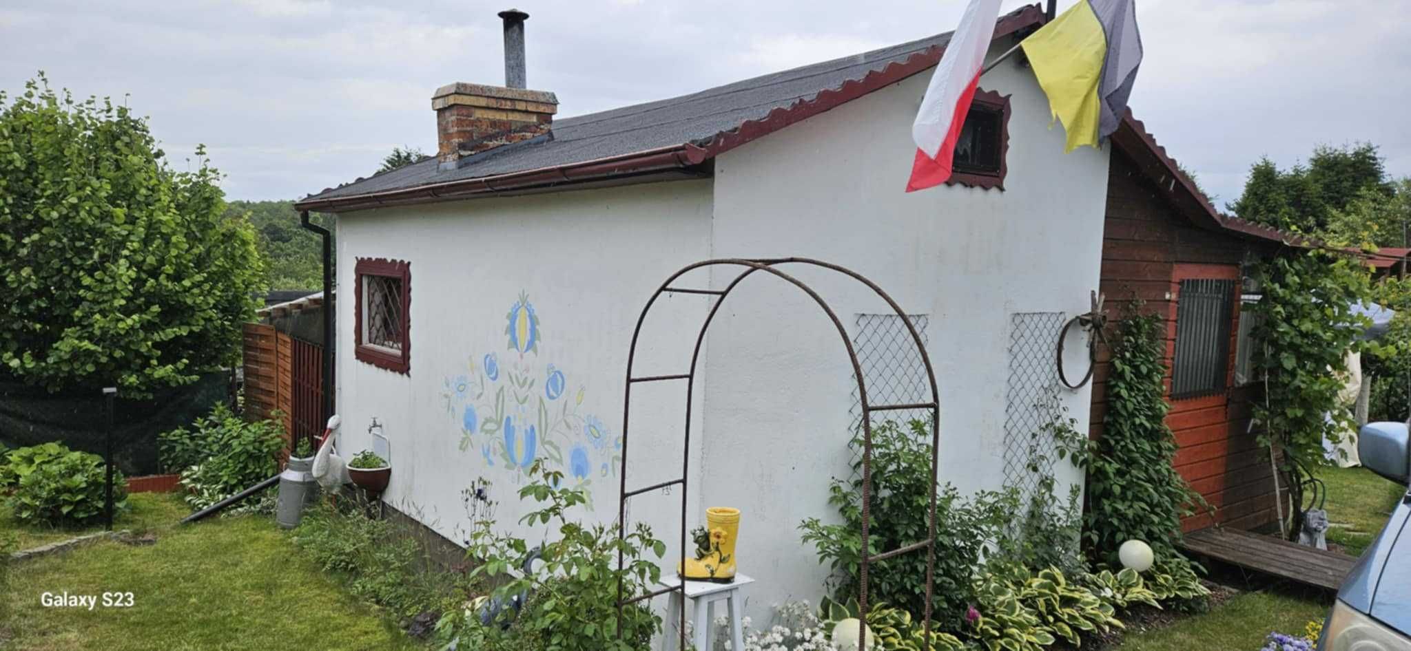 Działka ROD Przylesie 300 m2