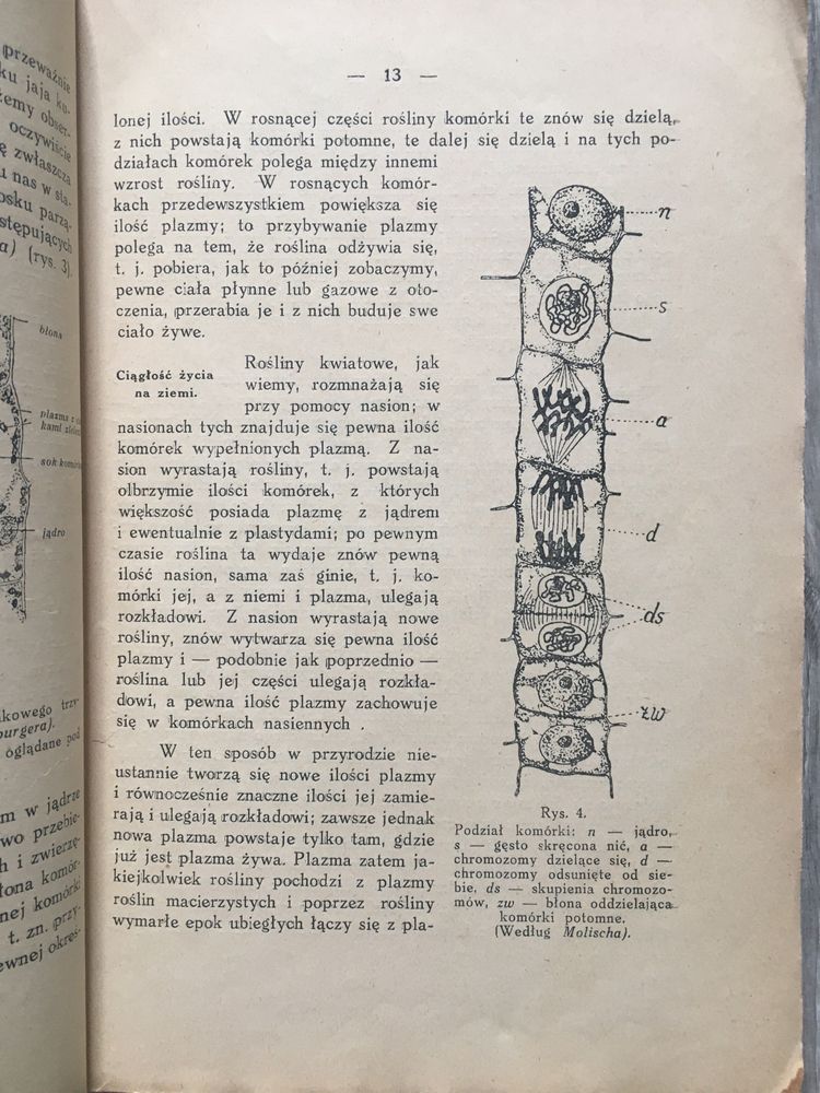 Przewodnik dla leśniczych cz. III botanika 1936 leśnictwo