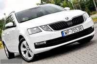 Skoda Octavia _1.5TGI 130KM_G-TEC_CNG_DSG_Led_Kamera_Climatronic_