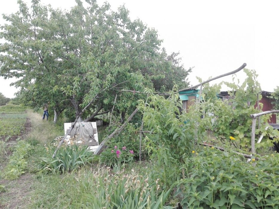 Доглянута ділянка під забудову.