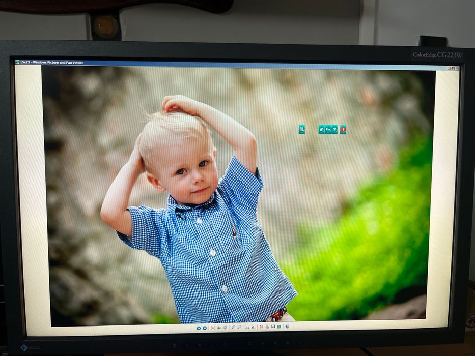 Monitor graficzy Eizo CG223W + Kaptur