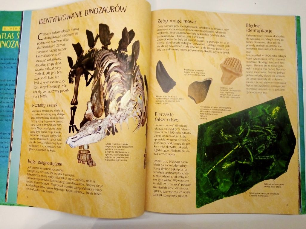 Atlas Świat Dinozaurów Kapitalne ciekawe wydanie