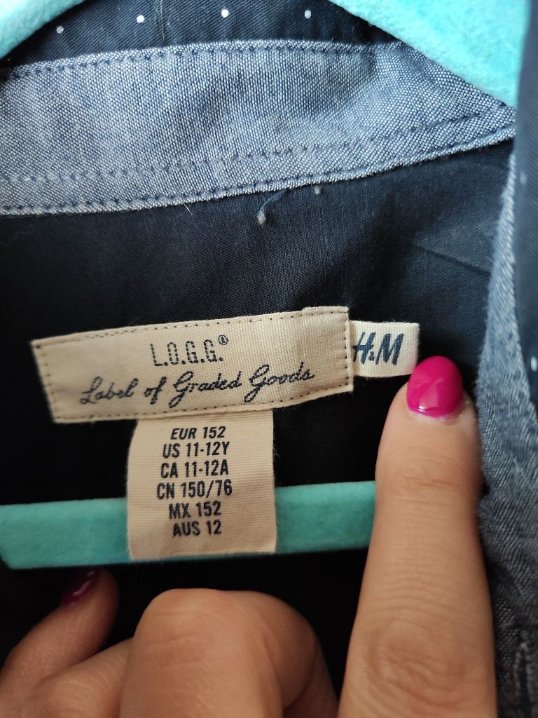 Koszula bawełniana H&M