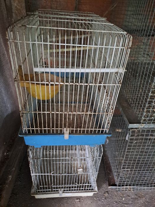 Varias gaiolas para dispensar