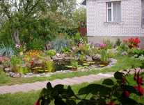Дача з доглянутою ділянкою 10 соток