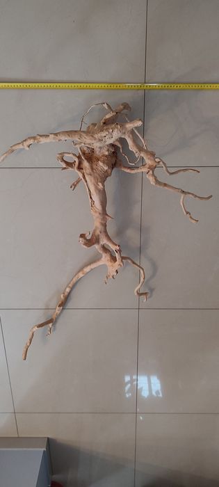 Korzeń Red Moor Wood