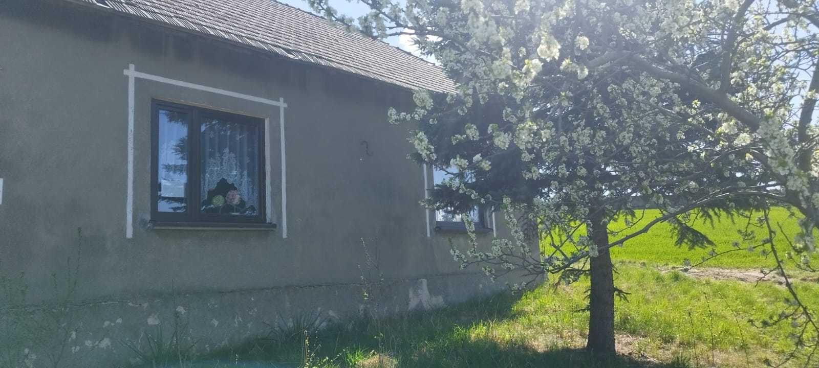 Dom z pięknym widokiem