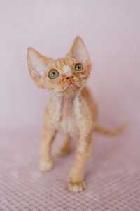 Devon rex rudy kocurek