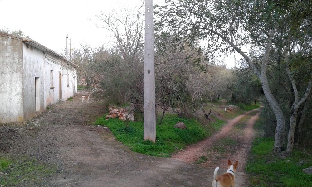 Vende-se casa e terreno