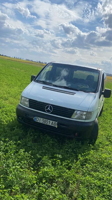 Віто в гарному стані