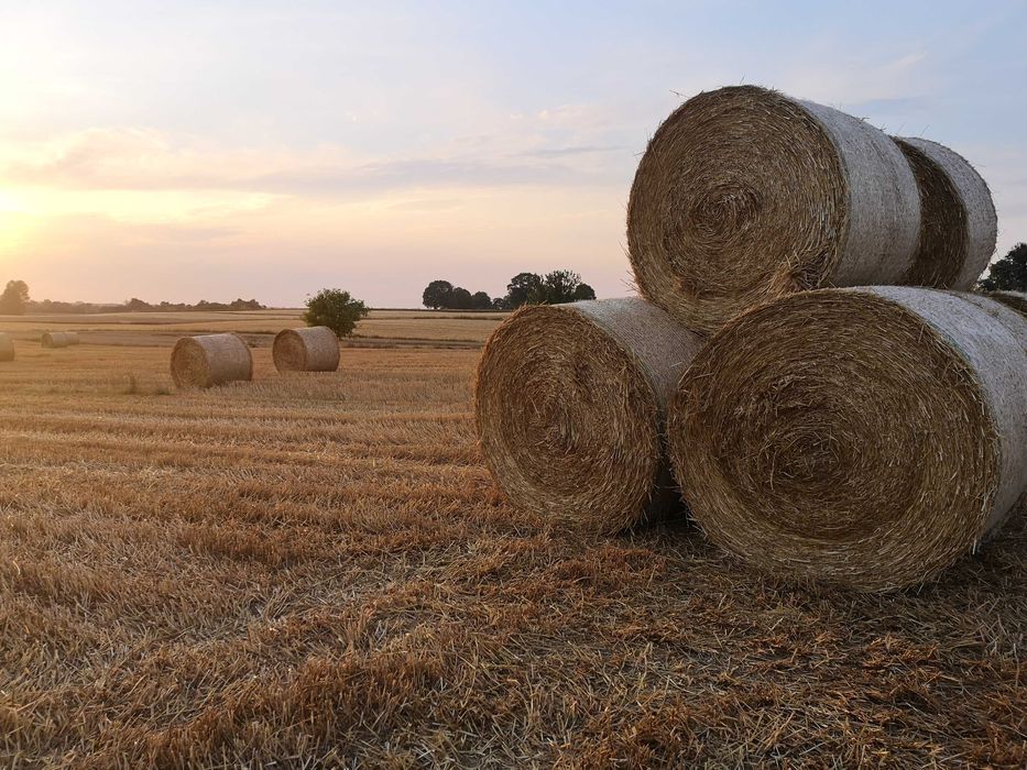 Skup SŁOMY bele każdy rodzaj