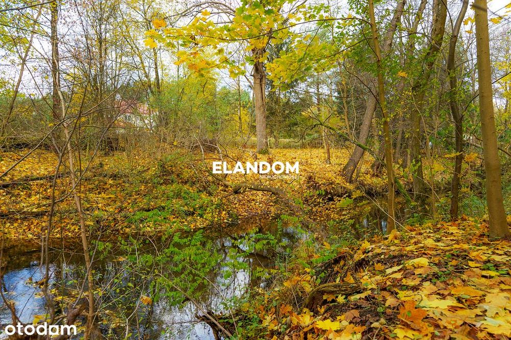 Urokliwa działka z lasem obok rzeki Mienia