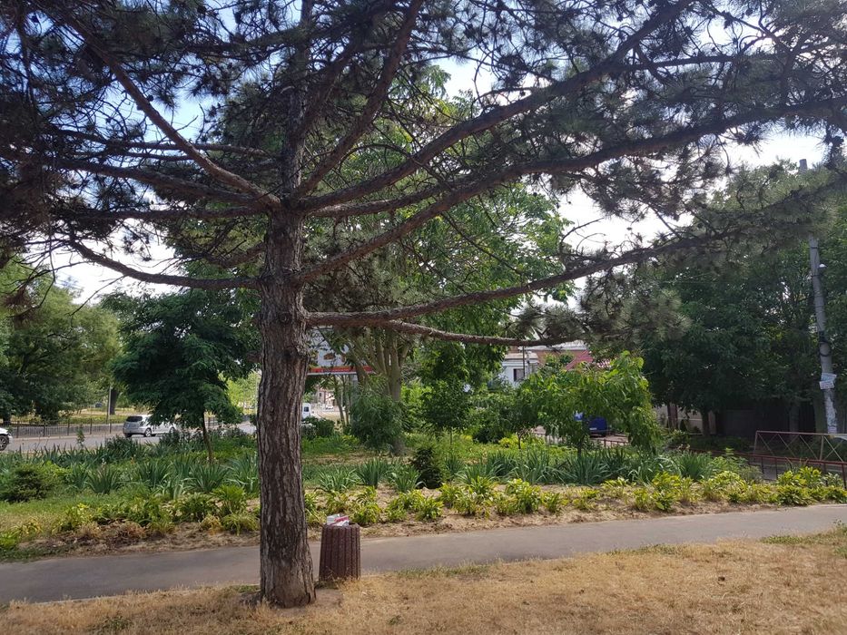 Продам в Одесі на 9й Фонтана квартиру на землі з террасою