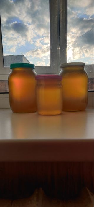 Продам Мёд со своей пасики.
