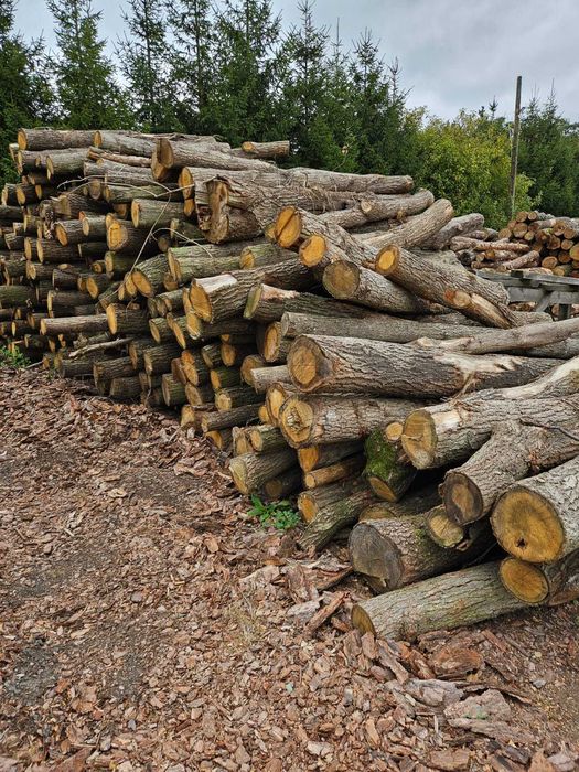 Drewno opałowe - dębina