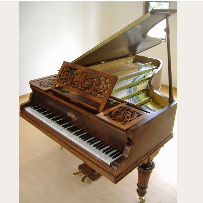Piano pau-santo sec. XlX