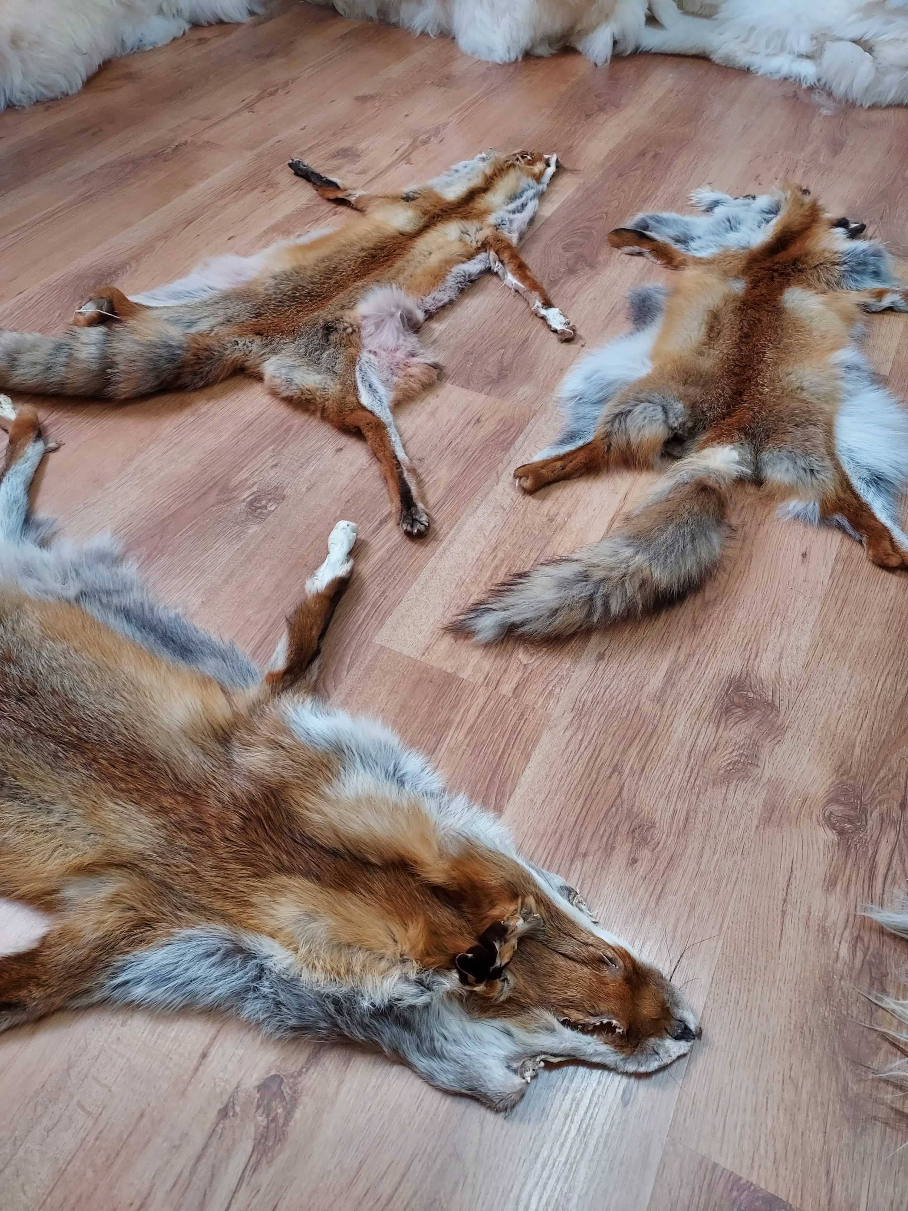 Skóra Dekoracyjna naturalna z Lisa Rudego Futro z Lisa Skóra