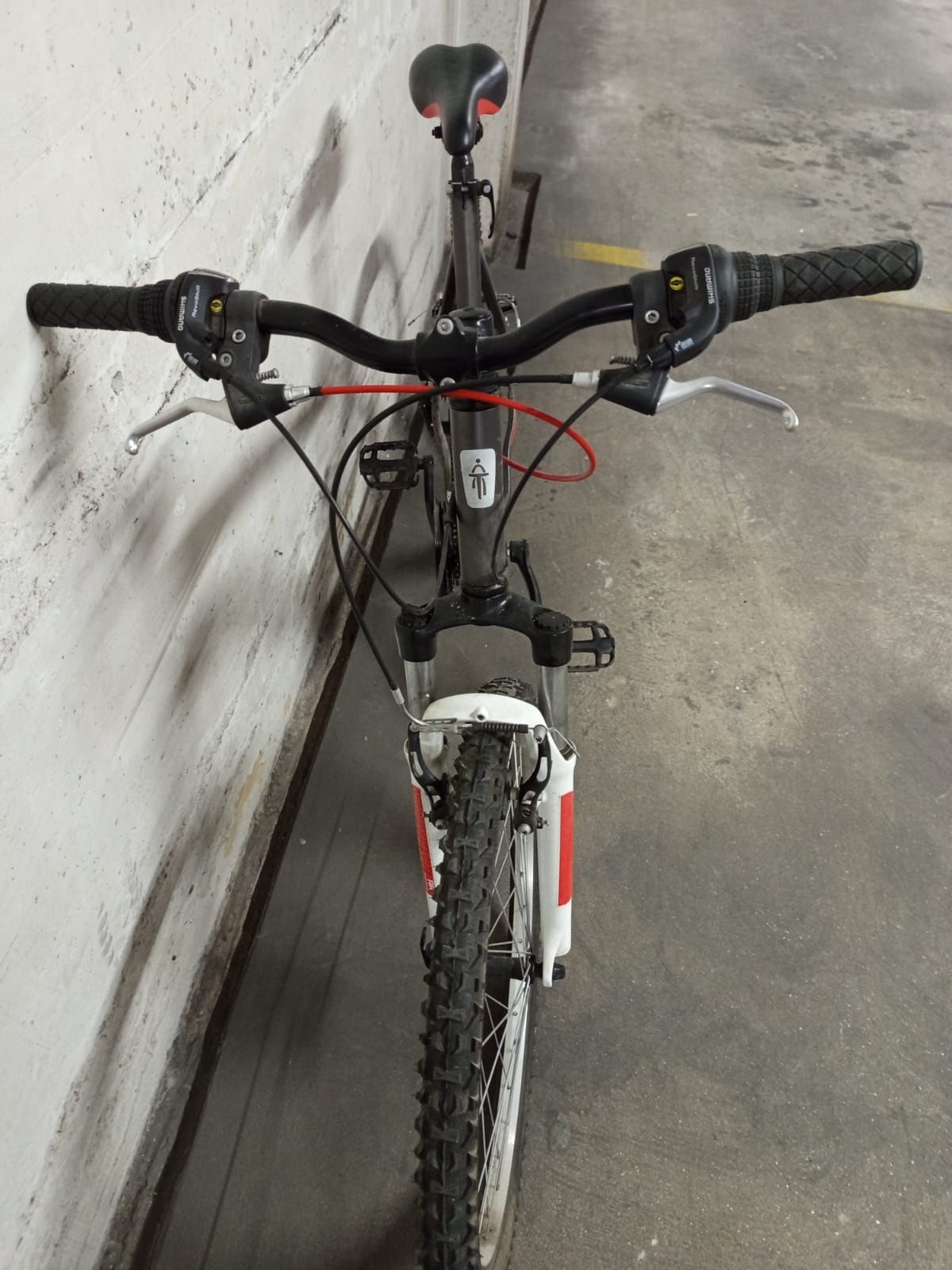 Bicicleta de montanha