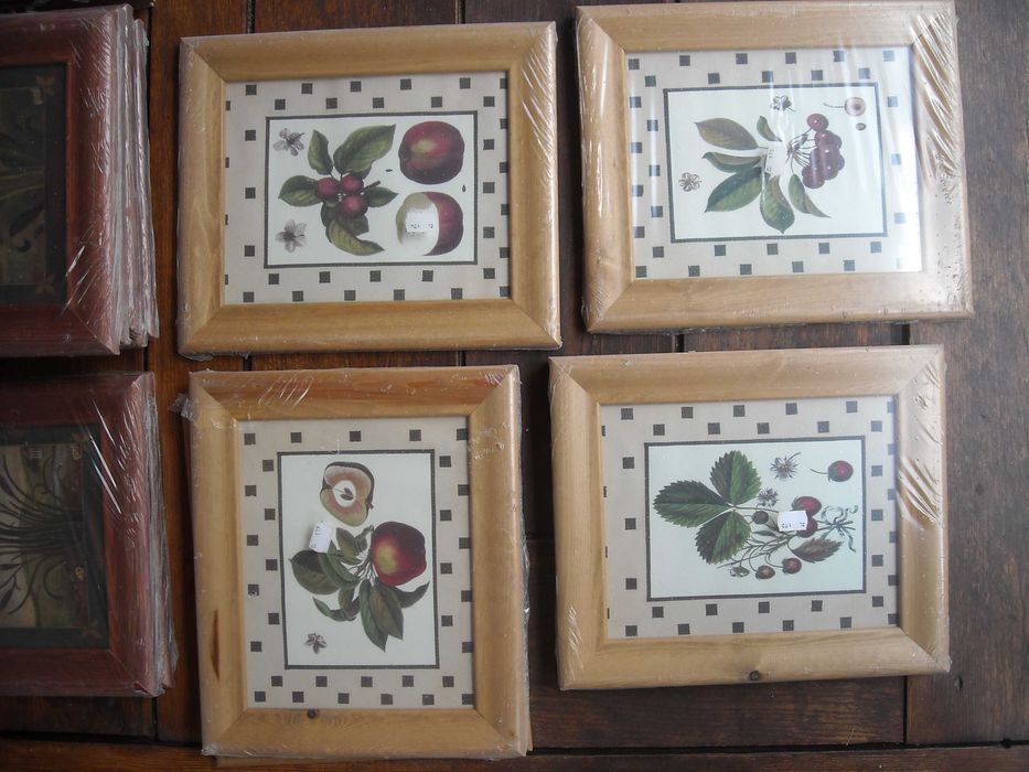 Quadros antigos rusticos vintage gravuras flores e frutos NOVO