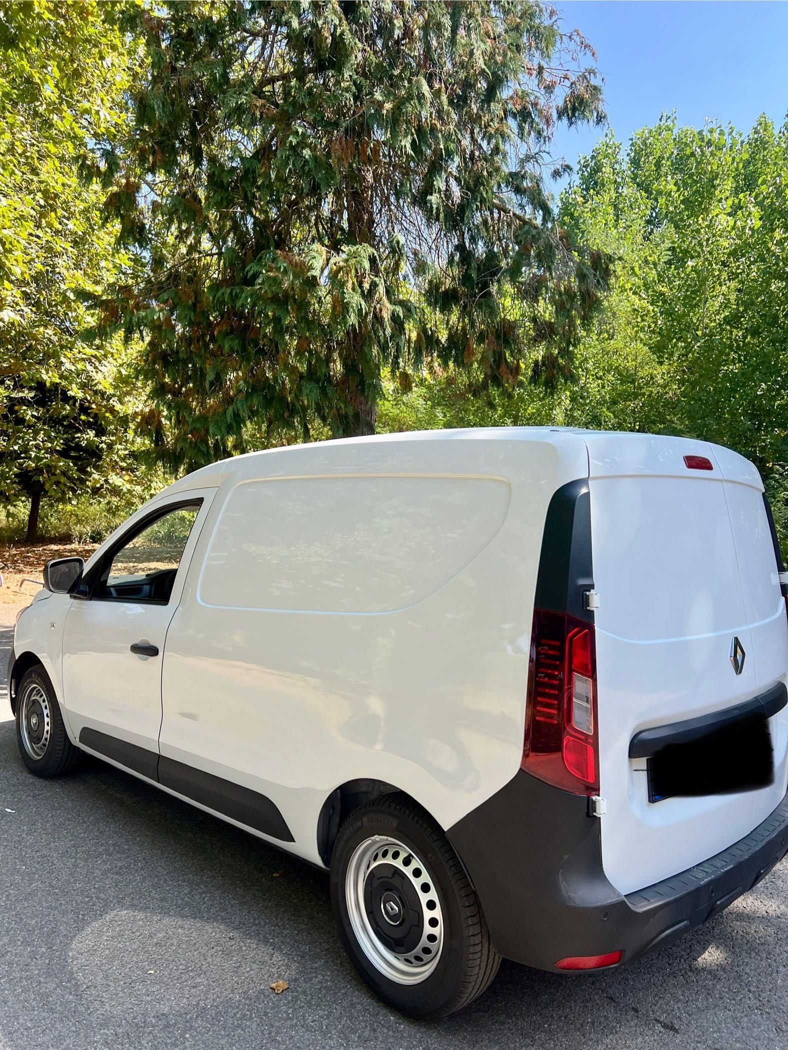 Renault Kangoo express 2024