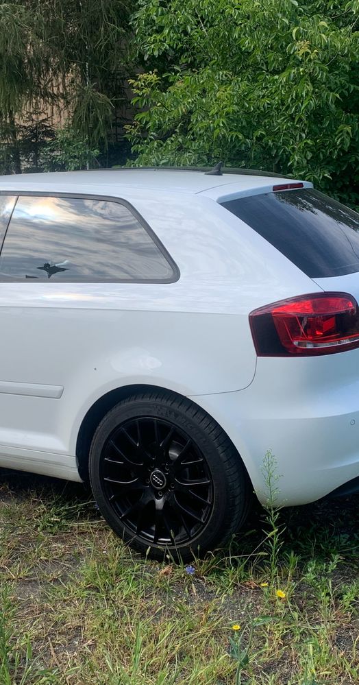 Audi A3 8P 2012r 2.0 diesel hatchback 3 drzwiowy biały manual