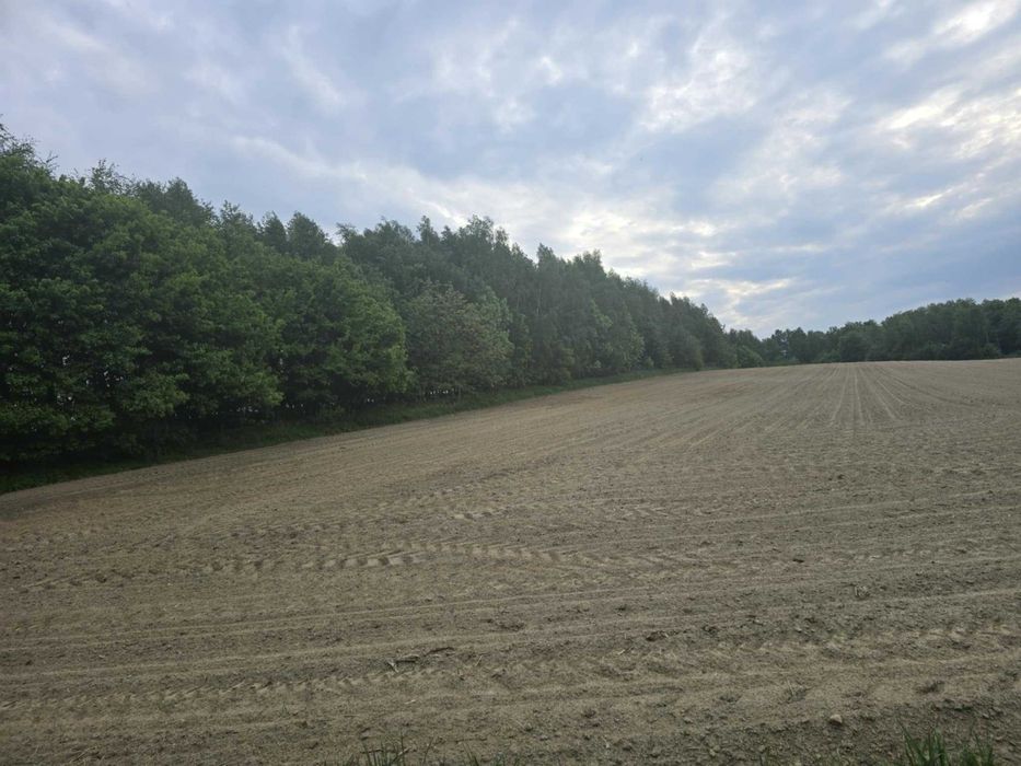 Łopoń - Sufczyn piękna działka rolna.