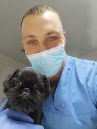 Ветеринарний лікар Одеса