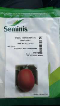 Nasiona Seminis pomidorów F1 hybryda Assila