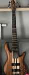 CORT A5 CUSTOM Z + Hard Case + GregoryPreAmps G-BP3