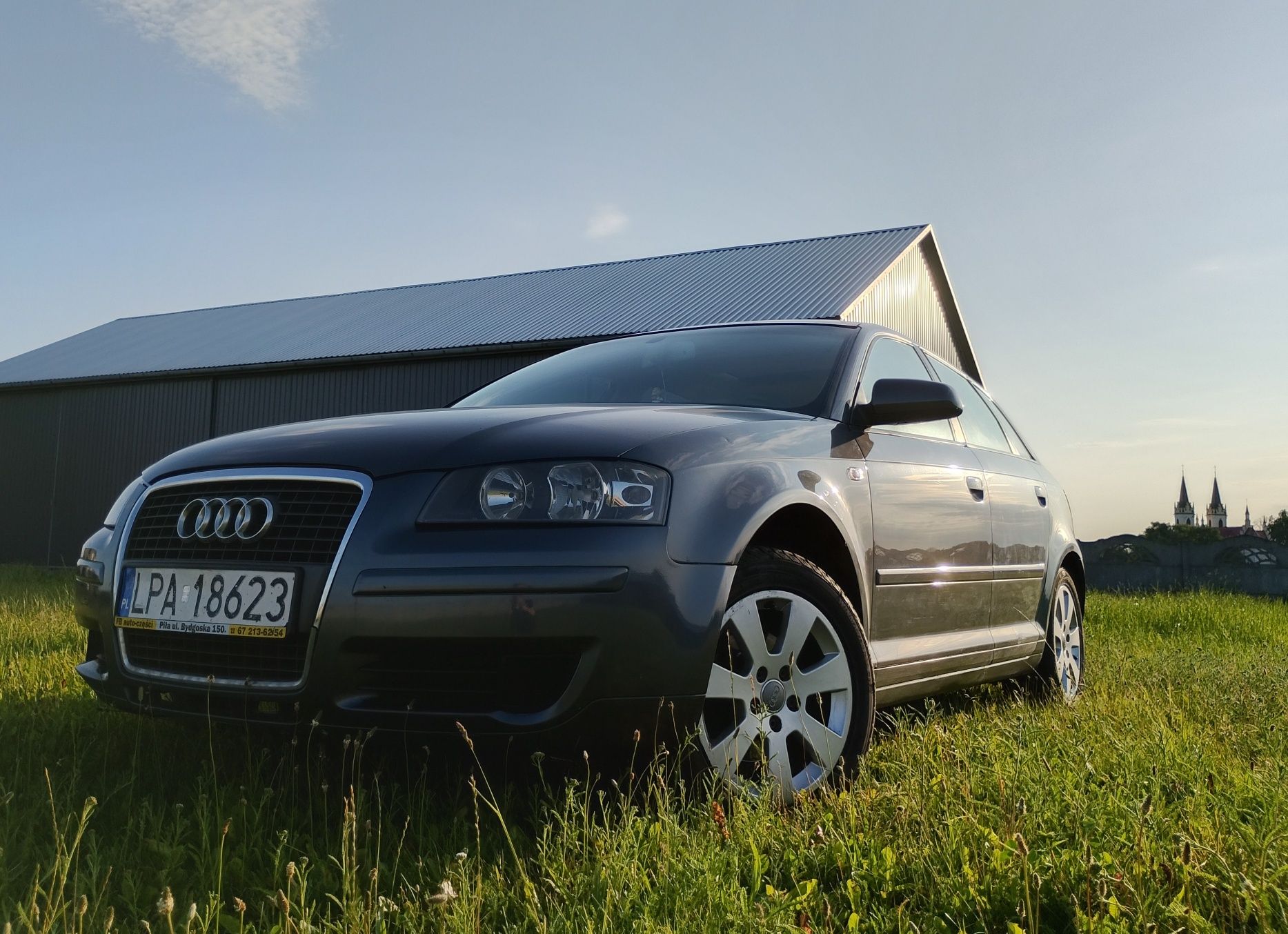 Audi A3 8P 1.9 TDI