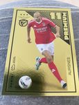 Cromo Liga Portuguesa de Futebol 2024-25 Panini Premium Aursnes
