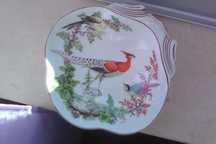 Concha Oriental - “Chelsea Birds” - Mottahedeh - Vista Alegre
