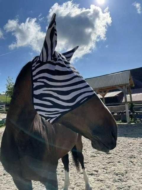 moskitiera dla konia maska przeciw owadom z uszami zebra - cob