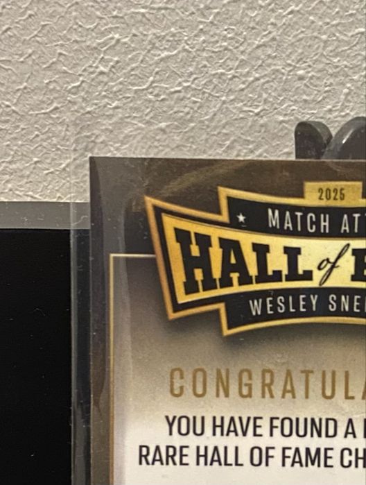 Hall of Fame Sneijder