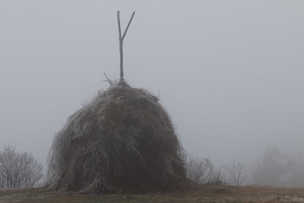 Продам Canon EOS 200D