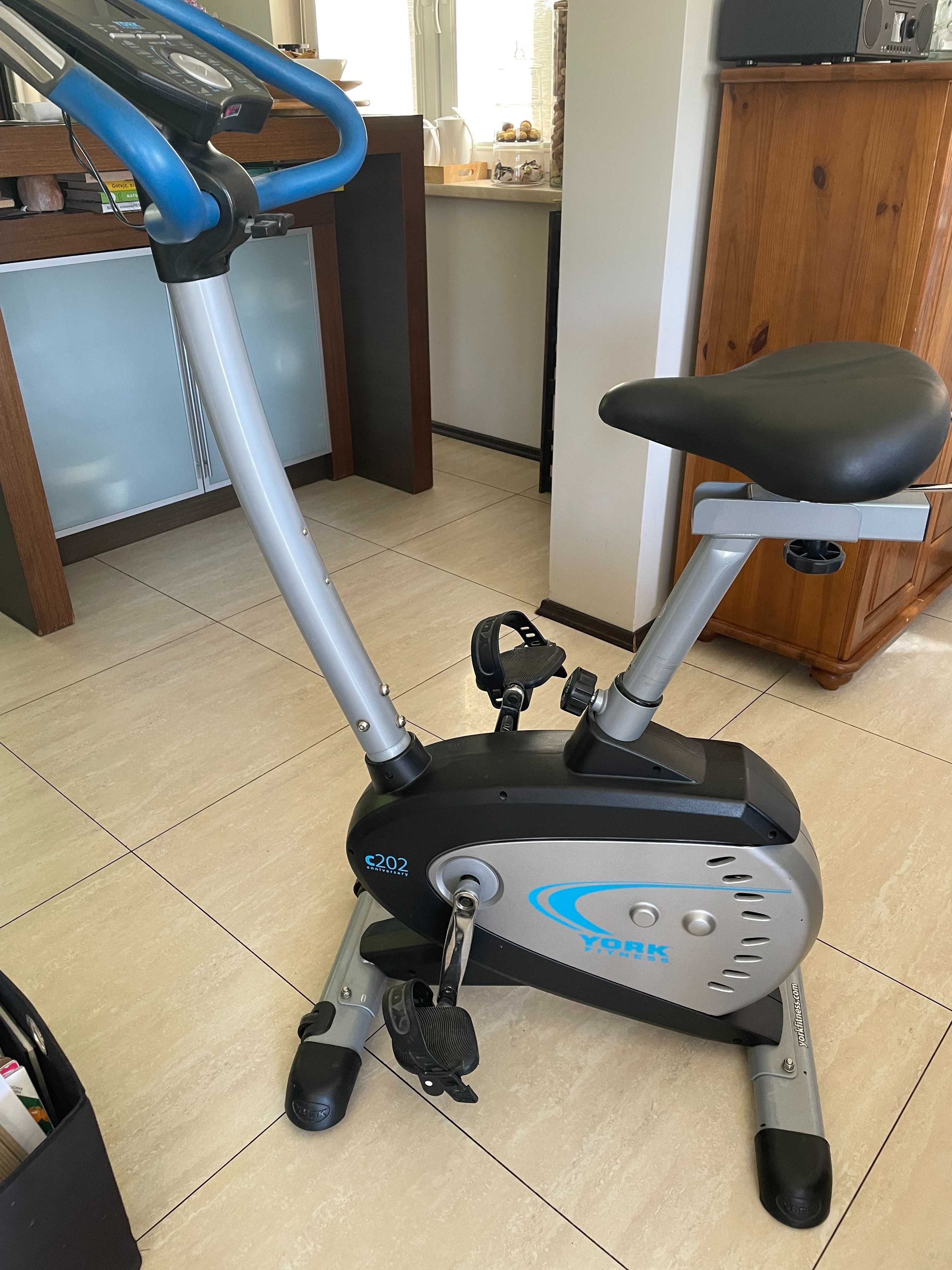 Rower treningowy pionowy YORK Fitness C202