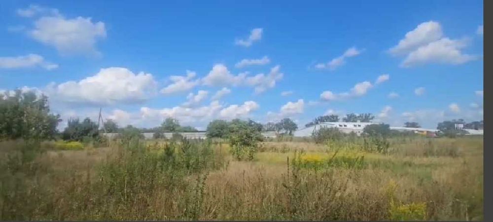 Продаж Майнового  Комлексу -Господарство с.Городище :Ферма, Скотарство