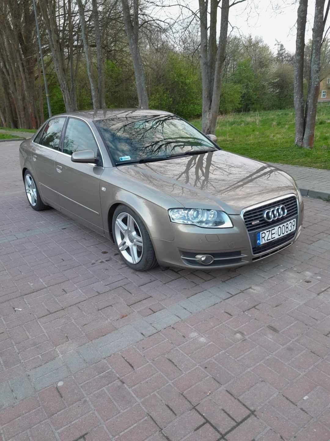 Audi A4 B7 2.0 TDI