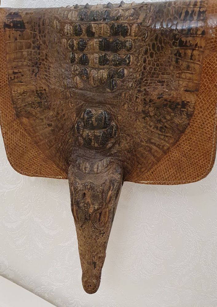 Женская сумка из кожи крокодила