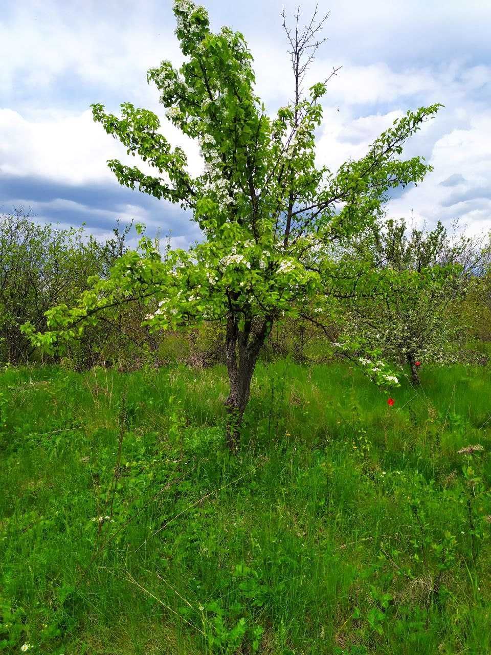 Продам дачу, пгт. Высокий, Ржавец