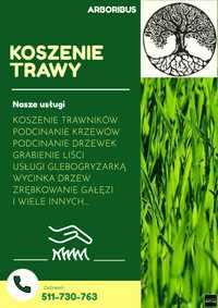 Koszenie trawników, wertykulacja, aeracja i inne